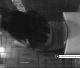 A hidden camera type video featuring 3 scenes of Carolina pooping in the first and last scene. She leaves the toilet unflushed for the first scene - allowing us to see her huge logs in the toilet for the 2nd scene and a new log in the 3rd!